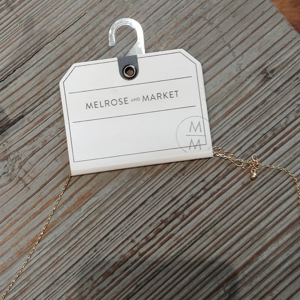 MELROSE AND MARKET LARIAT NECKLACE - Picture 3 of 10